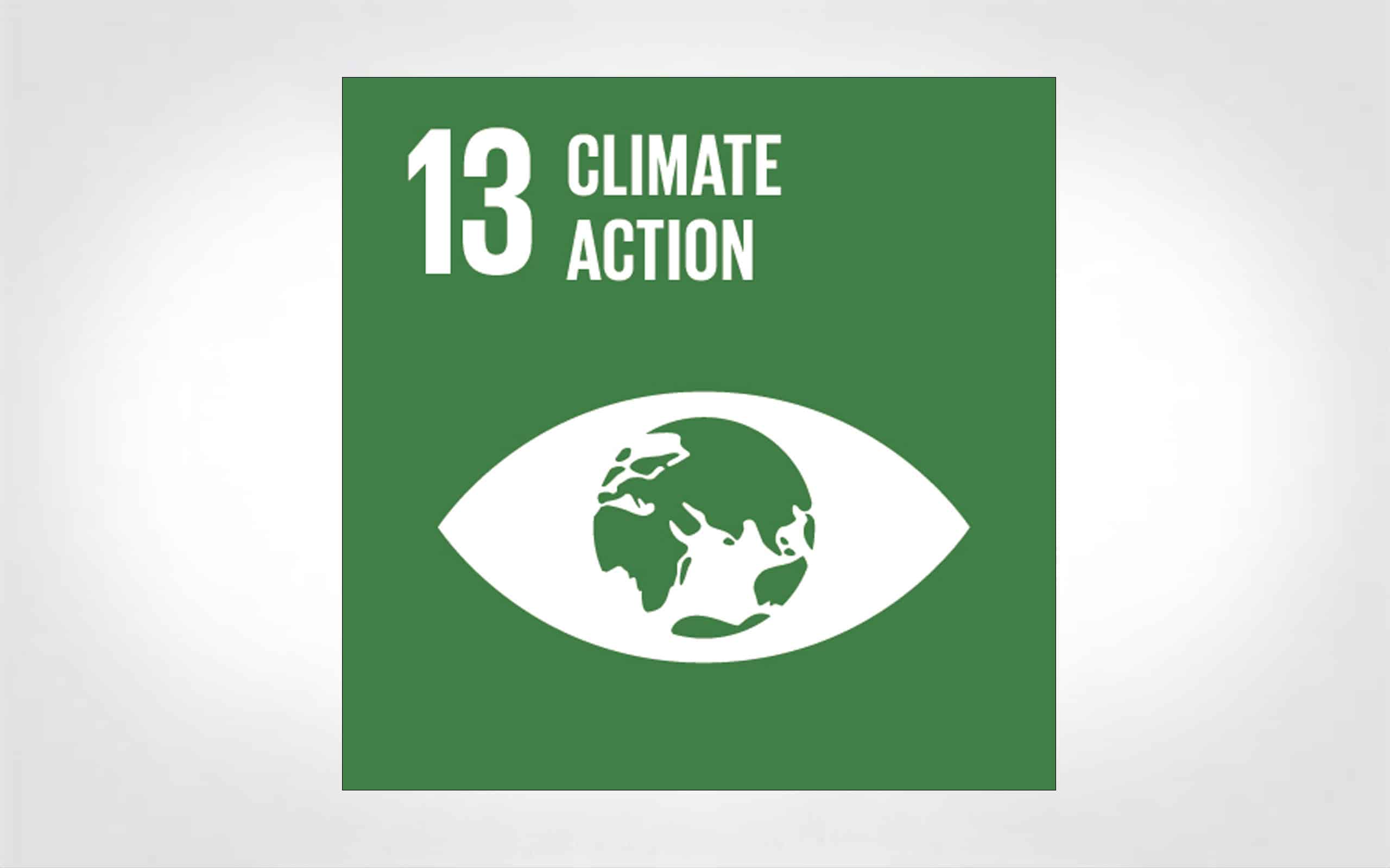 SDG 13: Climate Action icon thumbnail