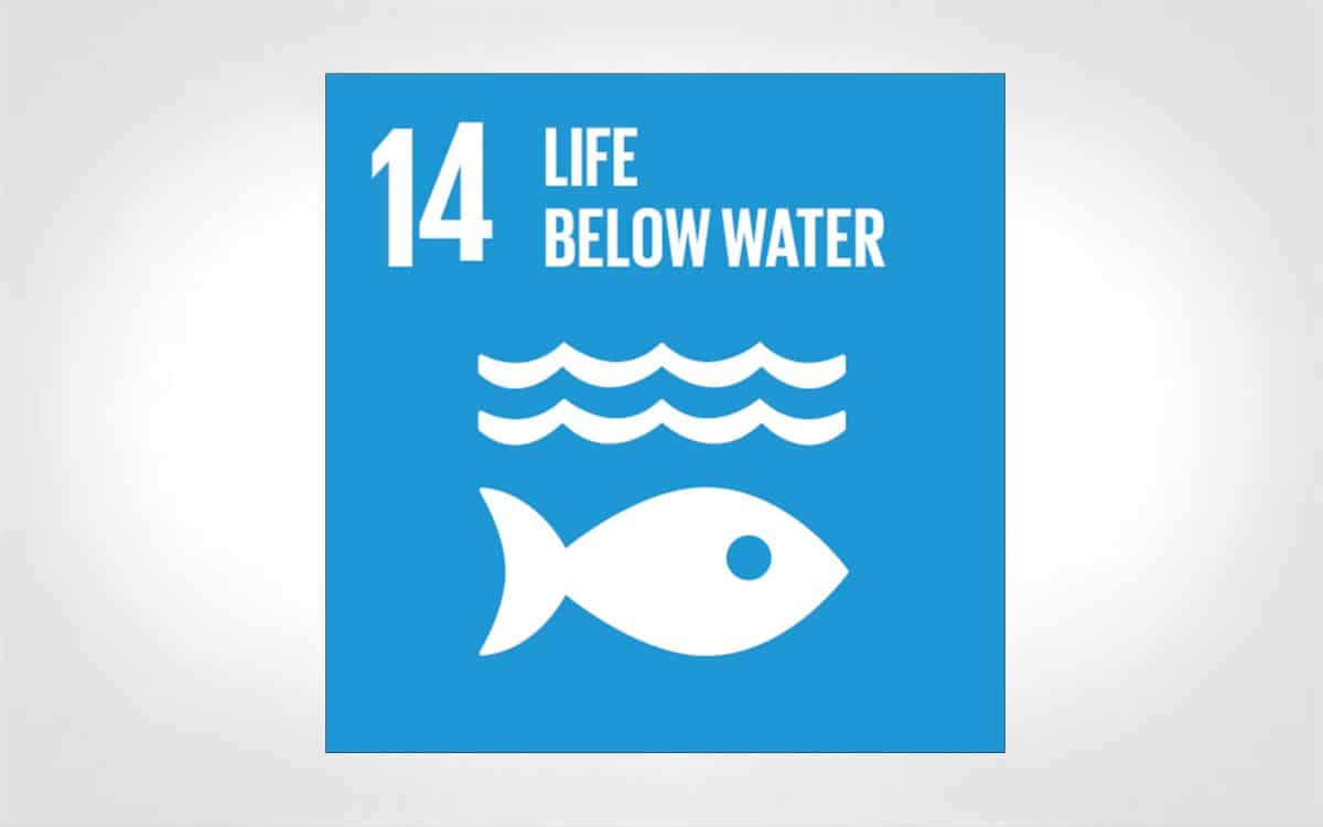 Sdg Goal 14 Life Below Water Impossible Metals