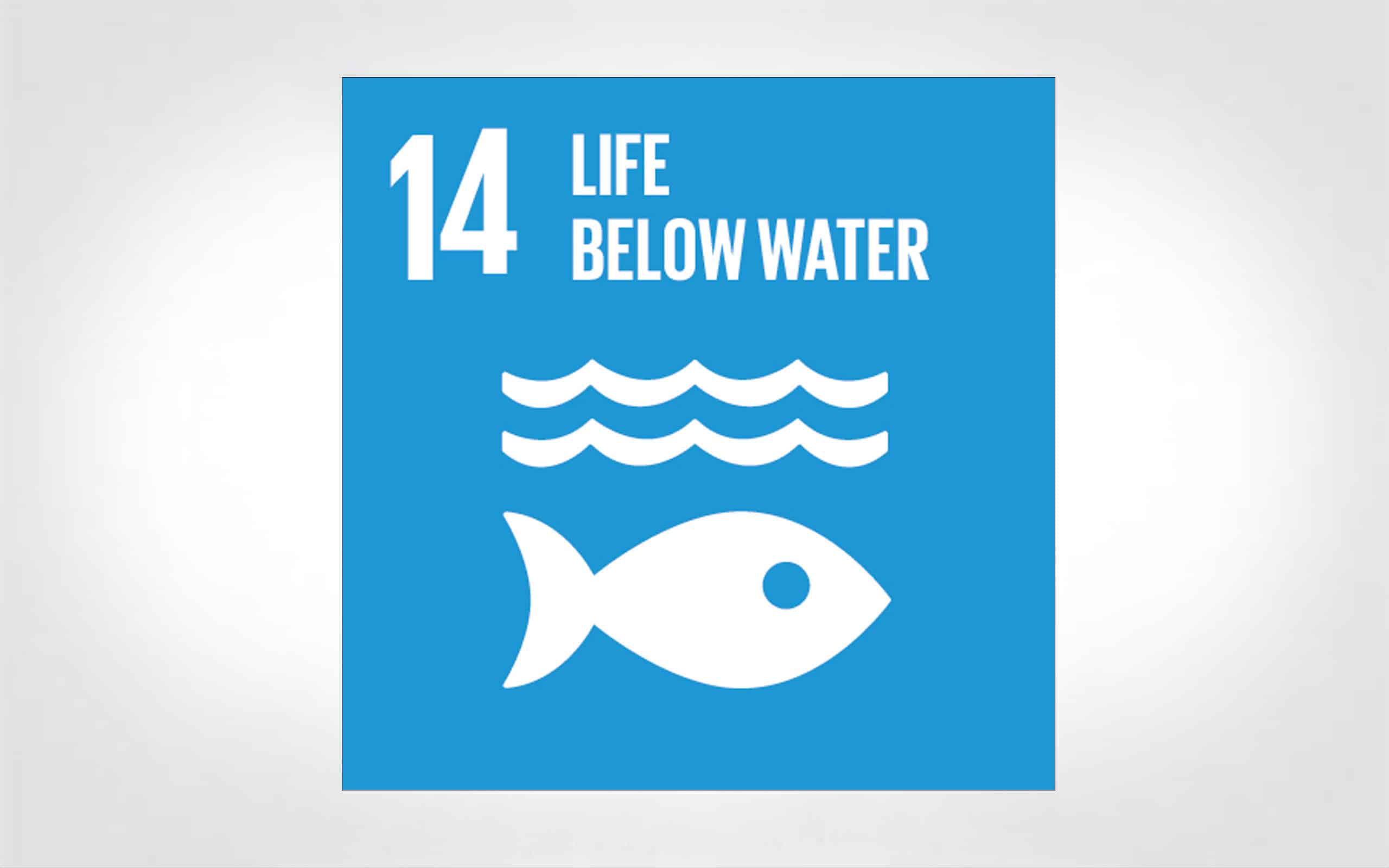 SDG 14: Life Below Water icon thumbnail
