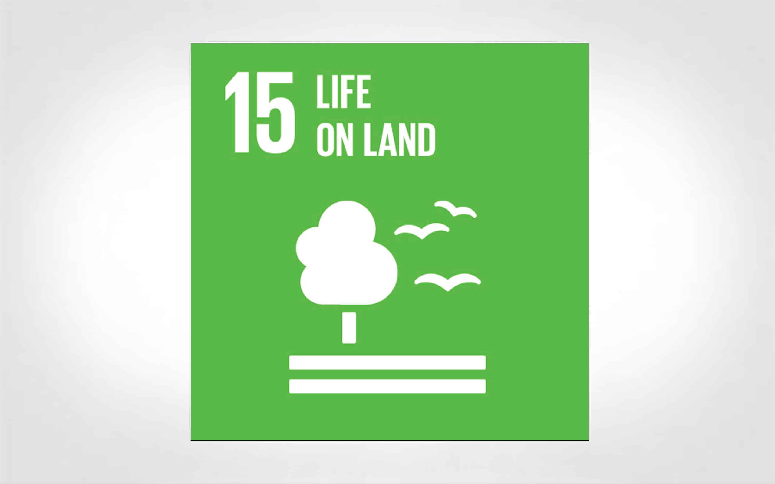 SDG 15: Life on Land icon thumbnail