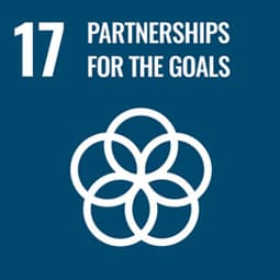 UN Sustainable Development Goal #17: Partnership for the Goals