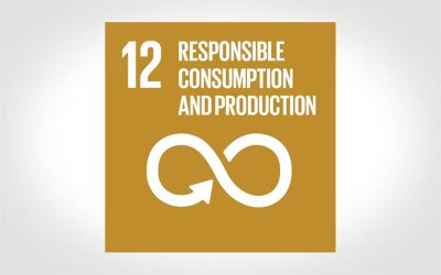 SDG Goal 12 – Responsible Consumption & Production – Impossible Metals