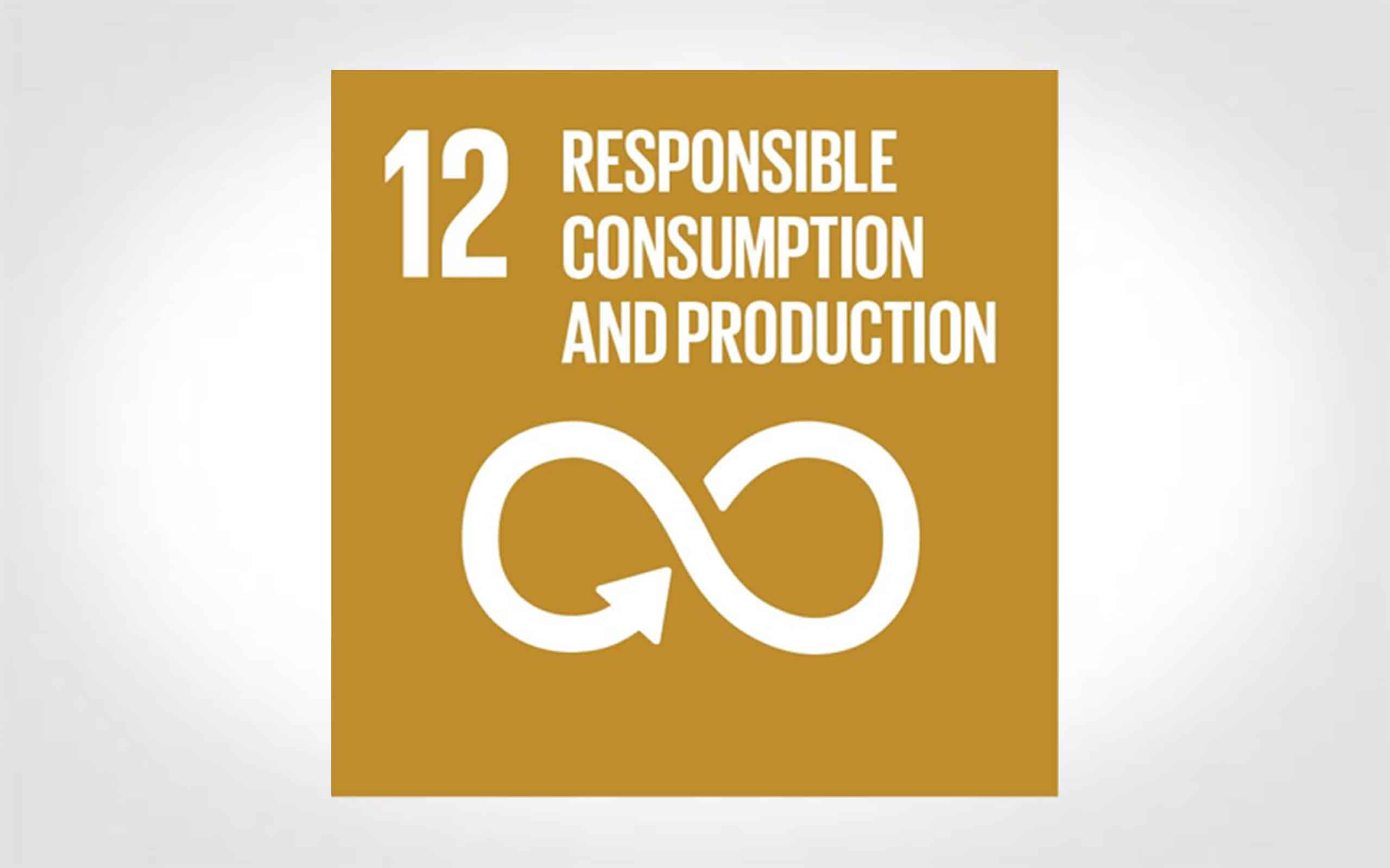 SDG12: Responsible Consumption and Production (thumbnail icon)