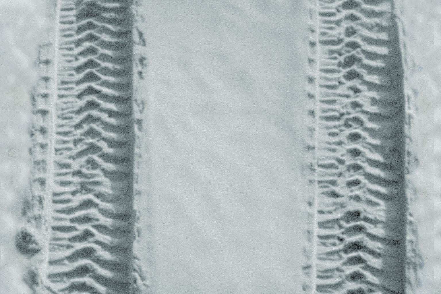 After Dredging and Riser Harvesting