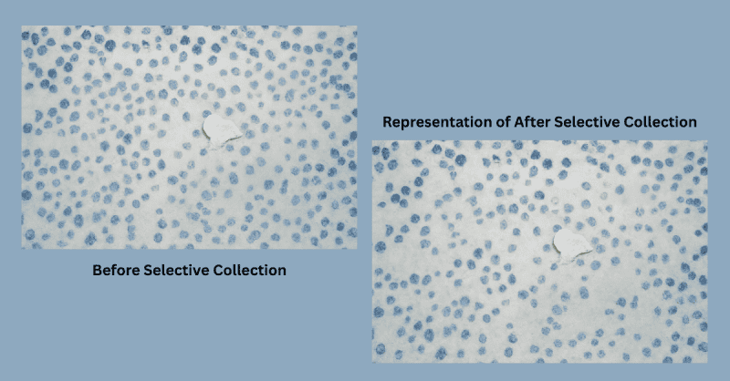 Selective Collection Riyadh A Truly Precautionary Approach: Selective Collection Delivers the Best ...